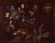 SCHRIECK, Otto Marseus van Blaue Winde Kroe und Insekten oil on canvas